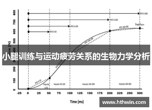 小腿训练与运动疲劳关系的生物力学分析